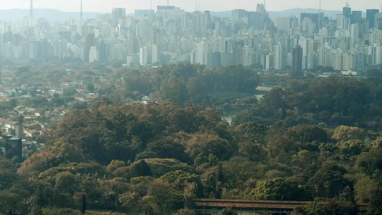 Création de Sites São Paulo