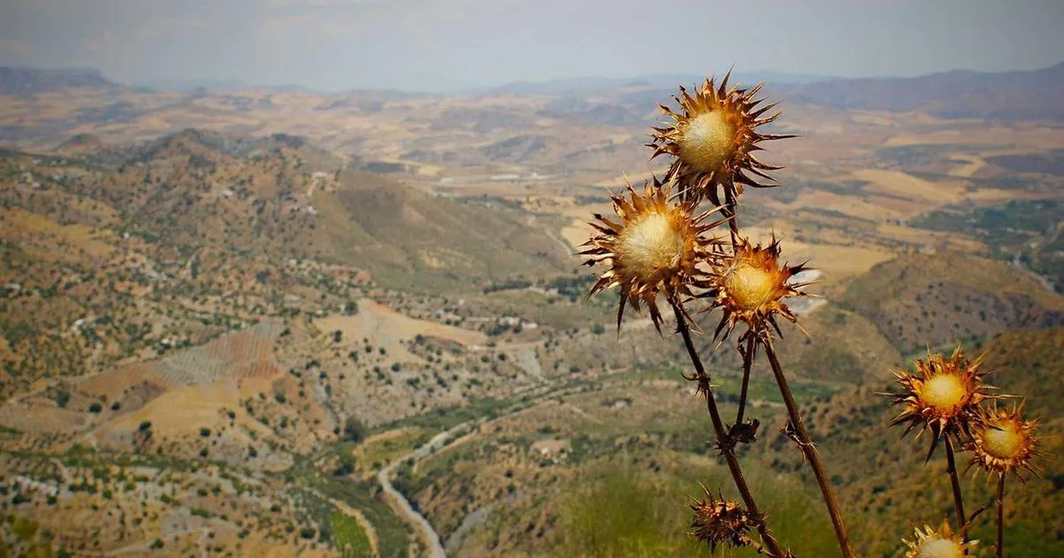 Imagem de capa: Ferramentas de IA para marketing em 2026: o stack essencial para escalar resultados
